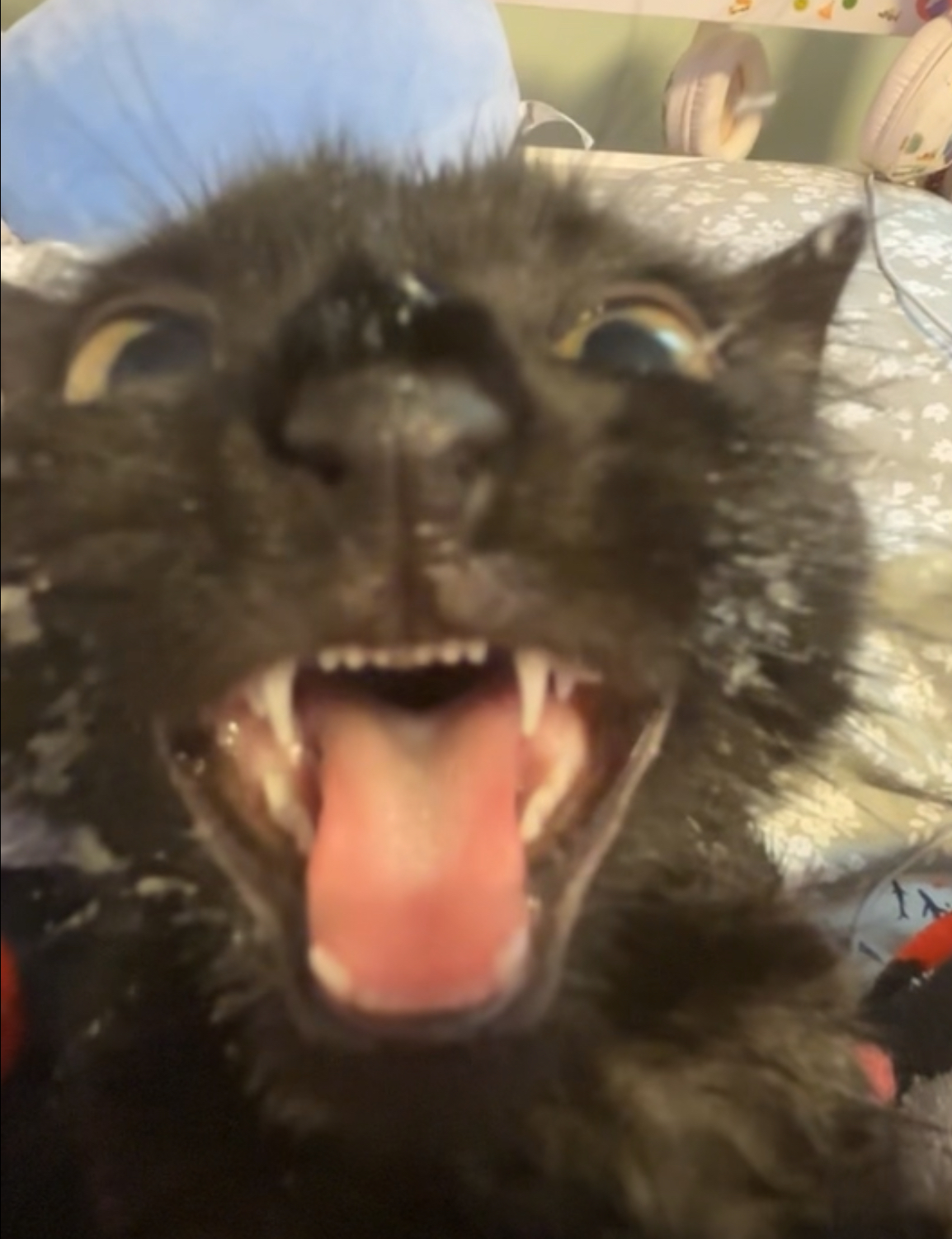 Avatar: Michael Burns